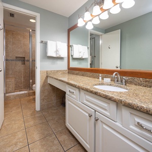 Enjoy the spacious master bathroom featuring a granite countertop, ample storage, and a glass-enclosed walk-in shower