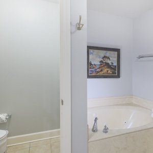 Indulge in relaxation in the spa-like jetted tub in the master, surrounded by soft towels and calming decor