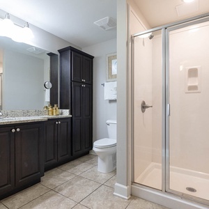 Stylish guest bathroom featuring a spacious walk-in shower, dark cabinetry, and elegant granite countertops