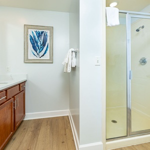 Refresh and unwind in your master bath, enjoying the spacious shower and elegant touches all around