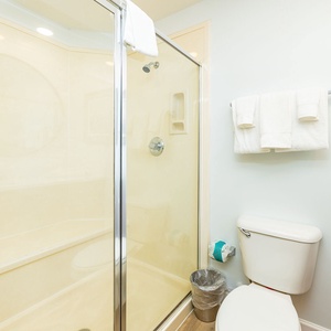 Refresh in a spacious guest shower, surrounded by elegant decor and soft towels in this bathroom