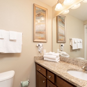 Embrace your morning routine in this guest bath, surrounded by elegant decor and ample fluffy towels