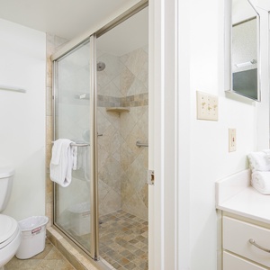 Refresh in the master bathroom featuring a walk-in shower, ample counter space, and neatly arranged towels