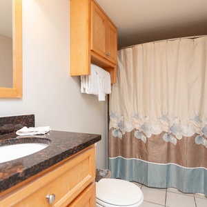 This bath features a sleek granite countertop, a stylish mirror, and a shower with a floral curtain for a refreshing touch