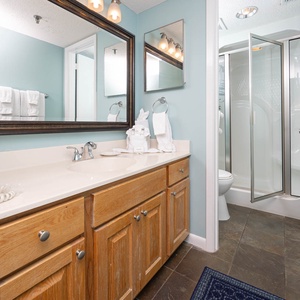 The master bath features a light blue color scheme, a spacious vanity with wooden cabinetry, and a glass walk-in shower