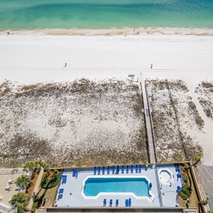 Lounge poolside beneath tall palms while laughter and splashes signal beach fun and adventure