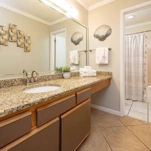 Granite countertops complement the elegant master bathroom, featuring a shower/tub combo and decorative shell accents