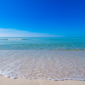 Experience fun in the sun with soft sands, gentle waves, and families enjoying a vibrant beach atmosphere in Gulf Shores