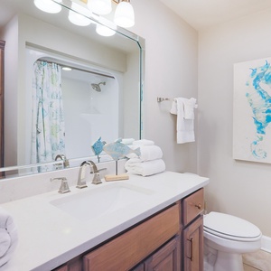 Experience this stylish guest bathroom featuring a spacious vanity, elegant fixtures, and a relaxing tub/shower area