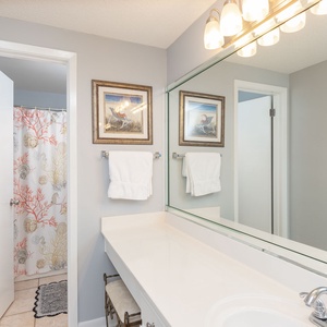 Master bathroom featuring a spacious vanity, decorative artwork, and a shower curtain with a coral design for a coastal vibe