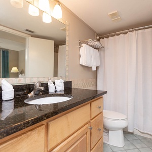 Master bathroom featuring a sleek granite countertop, plush towels, and a relaxing shower curtain