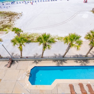 Relax by the poolside surrounded by palm trees, just steps from the beach and a lively restaurant