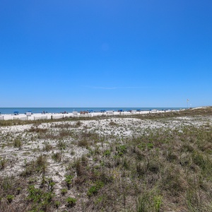 Beach view with white sand and colorful umbrellas, framed by gentle dunes under a clear blue sky