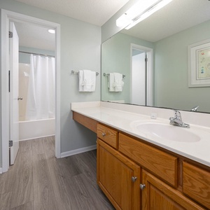 The master bathroom featuring a spacious vanity, a large mirror, and a tub/shower combo behind a white curtain