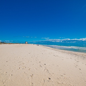 Plantation West Property-20