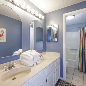 The master bath features a stylish double vanity with ample counter space, colorful shower curtain, and bright blue walls