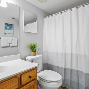 The guest bathroom features a white vanity, a shower curtain with a gray stripe, and a decorative plant on the countertop