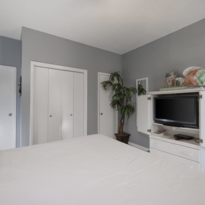 The guest bedroom features a queen bed, a mounted TV for entertainment, and a decorative plant adding a touch of warmth