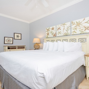 Oasis 502-29