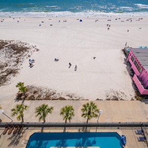Lounge poolside beneath tall palms while laughter and splashes signal beach fun and adventure