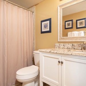 Master bathroom featuring a granite countertop, elegant mirror, and a walk-in shower with a relaxing shower curtain