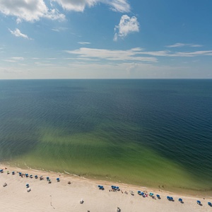 Step out to the balcony and watch the gulf stretch to the horizon above rows of beach umbrellas