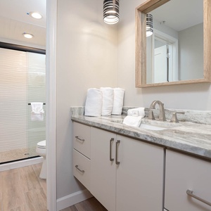 Experience the elegant master bath featuring a spacious vanity, modern fixtures, and a refreshing walk-in shower