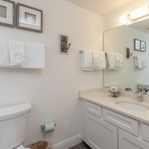 P10 1012 13   04 2018