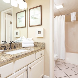 The master bath features a granite countertop with dual sinks, decorative art, and a tub/shower combo behind a curtain