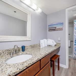 Stylish master bathroom featuring a spacious vanity, decorative accents, and a walk-in shower
