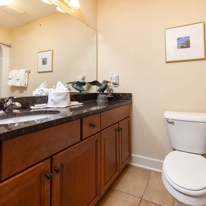 The guest bathroom features a granite countertop, wooden cabinetry, and a relaxing shower area for a refreshing experience