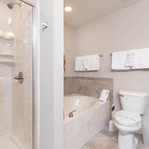 Indulge in relaxation in the master bath with a refreshing walk-in shower and soothing tub