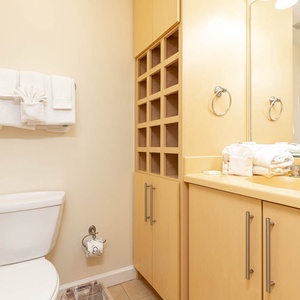 Enjoy a relaxing shower after a day of adventure in this guest bath with stylish cabinetry and spacious vanity