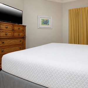 Unwind after a fun vacation day and stream your favorite shows in the king master suite