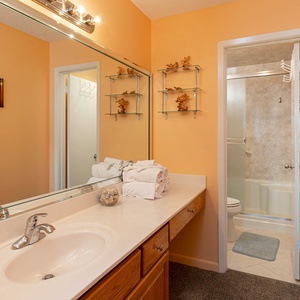 The master bathroom featuring a vanity, plush towels, decorative shelves, and a walk-in shower behind a frosted glass door