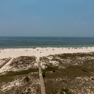 P8-81103-3