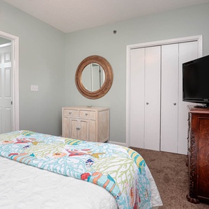 This guest bedroom featuring a colorful fish-patterned throw, a mirror, and a TV, with ample closet space for guests
