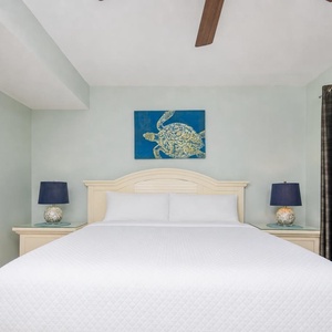 Master bedroom featuring a king bed, elegant lamps, and a vibrant turtle artwork above the bed
