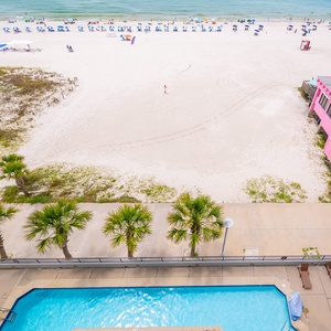 Enjoy the inviting pool area surrounded by palm trees with chair lift accessibility for guests with limited mobility