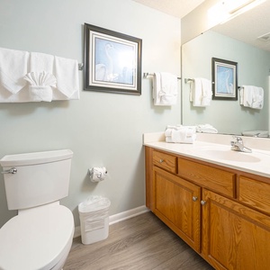 Sleek guest bathroom features a spacious vanity with ample counter space, plush towels, and a tub/shower