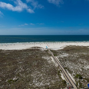 P6-61010-5