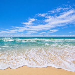 Experience serene beach views with gentle waves lapping at the sandy shore, perfect for relaxation and seaside strolls