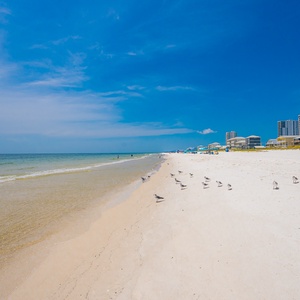 Sink your toes into the soft sand and enjoy the beauty of the Gulf coastline