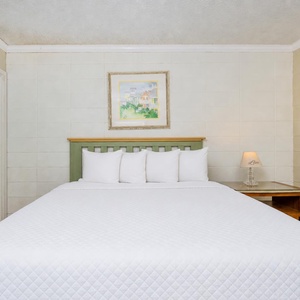 This bedroom features a comfortable bed with fluffy pillows and a charming artwork above, perfect for relaxation