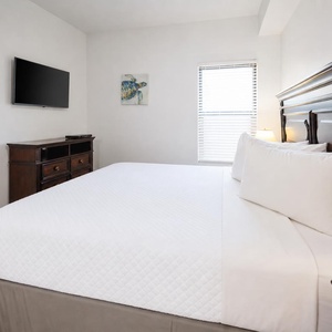 Guest bedroom featuring a large king bed, a flat-screen TV, and natural light streaming through the window