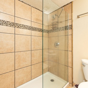 Large walk in tiled shower in the master bathroom