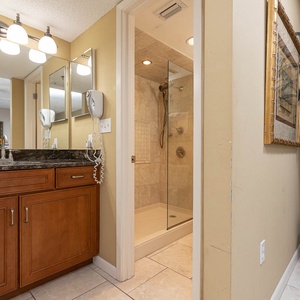 Brightly lit master bath features a granite countertop with wood cabinetry, a walk-in shower, and decorative plants