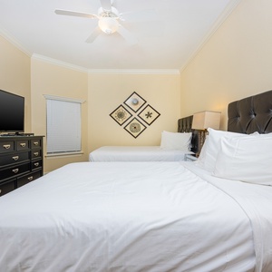 Oasis 2310-6