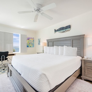 Backbay 207-18