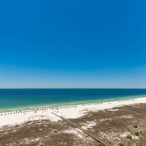 P6 61414 11